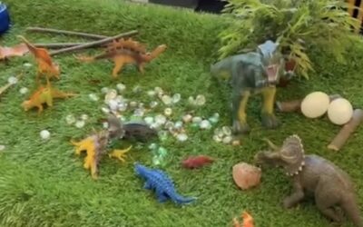 Dinomuseum groepen 1-2 april 2025